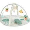 Skip Hop Activity Toys>Garden Oasis Activity Gym