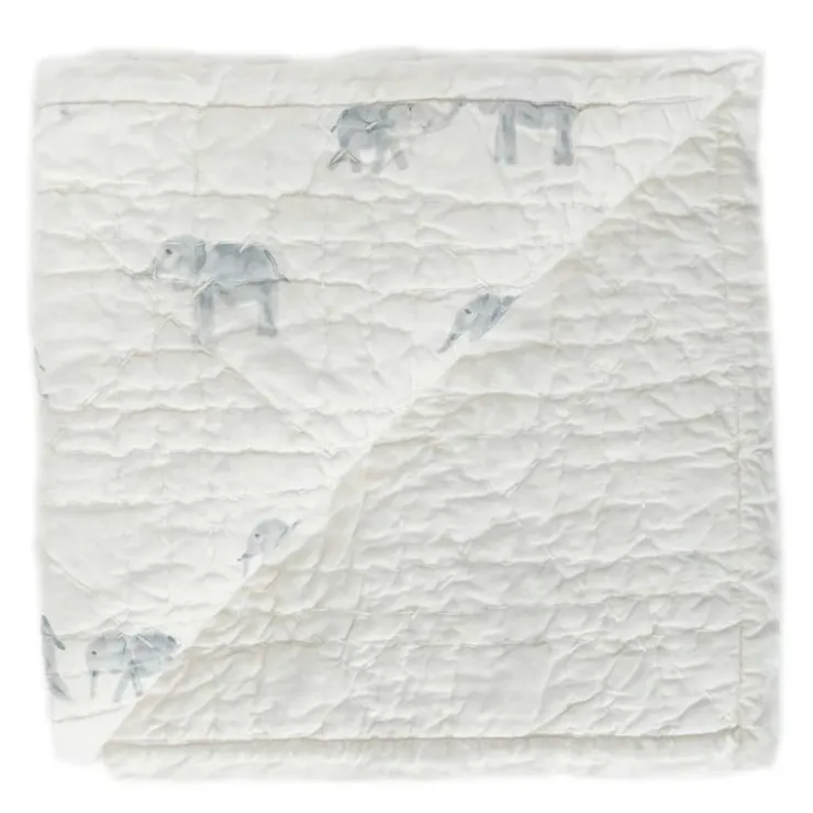 Pehr Designs Bedding>Hatchlings Blanket
