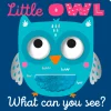 Make Believe Ideas Books>Little Owl What Can You See? Board Book