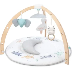 Aden & Anais Activity Toys>Rising Star Activity Gym