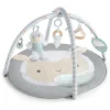 Ingenuity Activity Toys>Sheppys Spot Plush Activity Gym - Corrie